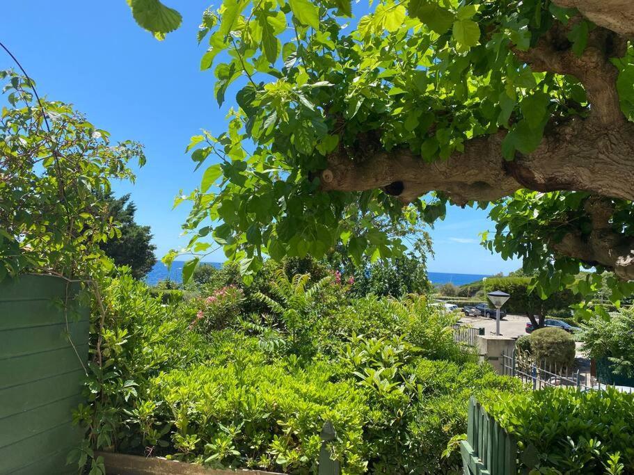 Joli Studio De Vacances Vue Mer Sausset-les-Pins Zewnętrze zdjęcie